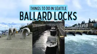 Explore Ballard Locks | Things to do in Seattle