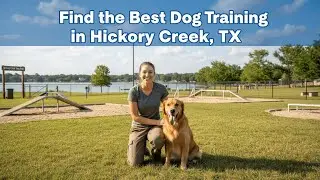 Find the Best Dog Training in Hickory Creek Texas