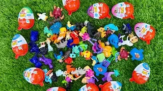 Different types of kinderjoy toys ||asmr