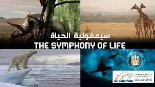 The Symphony of Life - UN Biodiversity Conference - COP14 Egypt 2018