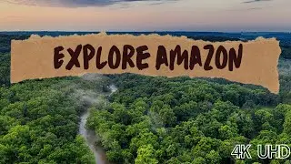 Amazon Forest Vedio 4K Ultra HD | Amazon jungle ke bare mein malomat