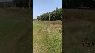 🧨 Petarda Korsarka P20-1302 Super Power 💥