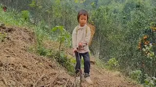 Children have to stay home, her Sister came out of the fruit of the Market