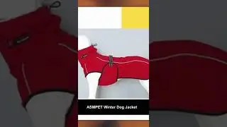 Dog Winter Jacket | Best Dog Jackets For Winter || 2023 😃 🔥 #shorts #dogjacket #dog
