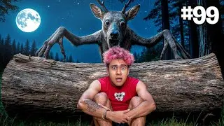 CERVO 99 NOITES NA FLORESTA ( NA VIDA REAL )