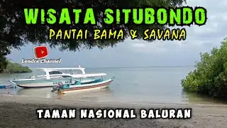 PANTAI BAMA DAN SAVANA DI TAMAN NASIONAL BALURAN SITUBONDO