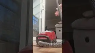 Miele Blizzard Cx1: Full House Clean  - The Conservatory 