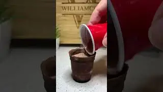 How To Make Hot Cocoa Bombs! #shorts