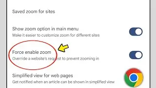 Force enable zoom settings on chrome