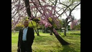 Muhammed Güllüce - Beyati-Uşşak beyitler