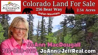 256 BEAR WAY, Como, CO | Park County Real Estate Listing