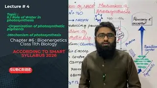 Role of water | Organization of photosynthetic pigment | Class11th  Biology | PTB New syllabus 2025 