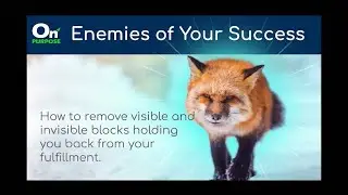Enemies of Your Success: How to Remove the Visible & Invisible Blocks Holding You Back