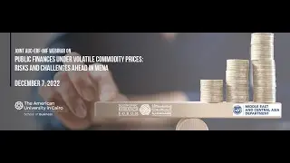 Public Finances under Volatile Commodity Prices: Risks and Challenges Ahead in MENA