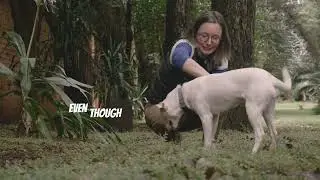 Decode Your Dog's Tail Movement!!  A Fun Guide!
