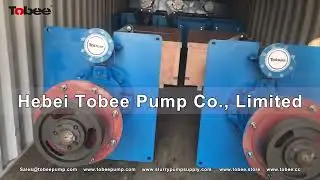 Tobee&reg; Delivered 8sets 100RV SPR Vertical Cantilever Slurry Pumps.