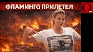 Искандеры не смеются: огромная дыра на заводе ядерной триады РФ видна из космоса