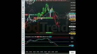 Trader evolui seu operacional   #podcast #comosertrader #daytrading #setups