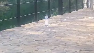 Explosi&oacute;n de bomba de agua fuerte + papel plata (Como hacer la bomba en la descripci&oacute;n)