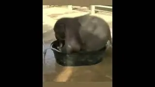 Ellie in little TuB bathing