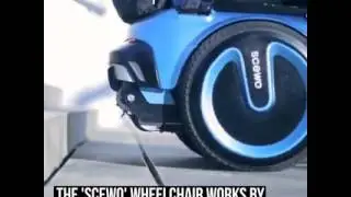 See the future chair