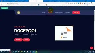 БЕЗ ВЛОЖЕНИЙ! BUX CoinPayz, вывод на любые крипто кошельки