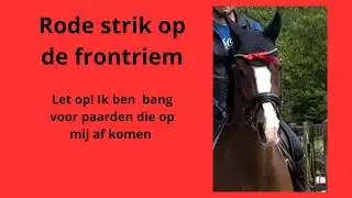 Wat betekend het rode lint op de frontriem bij een paard?