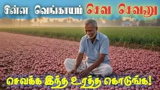 🧅சின்ன வெங்காயம் செவ செவனு செவக்க இந்த உரத்த கொடுங்க! Onion red pigmentation secret #farming #onion