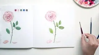 러블리 플라워 - 13 핑크 장미