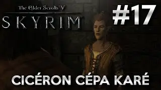 AMBASSE THALMOR AGAIN ! | THE ELDER SCROLLS V SKYRIM | LET'S PLAY FR #17-2