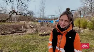 Levmo Tr&auml;ddv&aring;rd AB SVT S&ouml;dermanland 2025