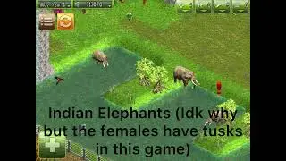 All Wildlife Park: Premium Plus Animals