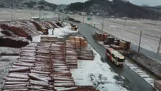 👉 Snowy Timber Yard in Korea ❄️ | Life & Work in Korea