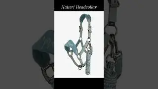 Christmas gift ideas for equestrians for $50 and under 🎄🐴 #horse #horses #equestrian #giftideas