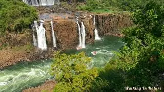 4K Relaxing Nature Sounds - Short Video Clips of Nature | Walking In Nature