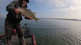 Tiefwasserbarsche angeln, wie man sie zum Anbei&szlig;en bringt, Lake Murray