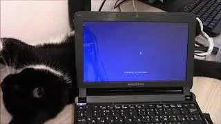 Пробую поставить самый  последний Windows 10 на нетбук eMachines e 350 c 1 ядром Atom N450