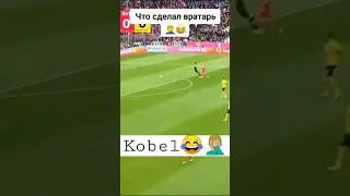 #bayren #borussiadortmund #upamecano #kobel
