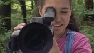 Animal Camouflage: Kratts' Creatures