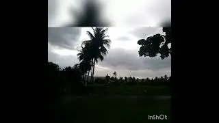 Type of trees and plants Nurture v