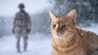 Cats Recognize Their Marine Owner After Deployment 🥹 #cat 