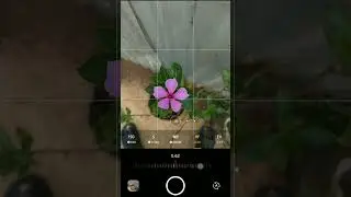 Photoshoot with smartphone...try this settings in Expert mode  #photography #subscribe