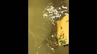 Gold Stripping Solution