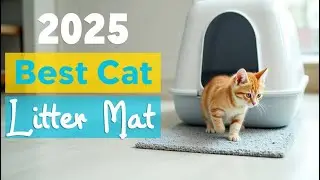 Best Cat Litter Mat Review 2025 || Pieviev Cat Litter Mat Double Layer Waterproof Urine Proof