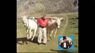 Spicy Memes | Meme video compilation 4