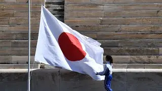 Why are japanese insurers sell off their foreign debts?