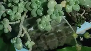 🍀🍀🍀🍀🍀🍀🍀🍀🍀🍀🍀🍀🍀🍀🍀🍀🍀🍀🍀🍀🍀🍀🍀🍀🍀🍀🍀🍀🍀🍀🍀🍀