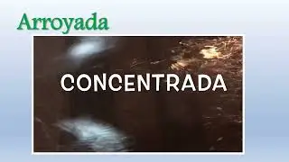 09 Geomorfolog&iacute;a de las regiones &aacute;ridas 2de2