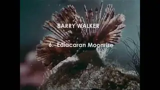 Barry Walker - Ediacaran Moonrise
