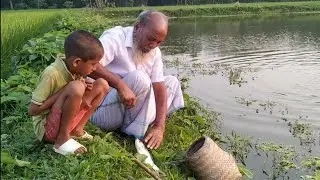 Hook Fishing Video | Traditional Hook Fishing in Village | Catching Fish by Hook | Fishing Vector